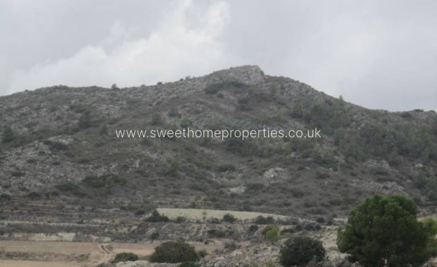 Resale - Plot - Novelda - HORNA