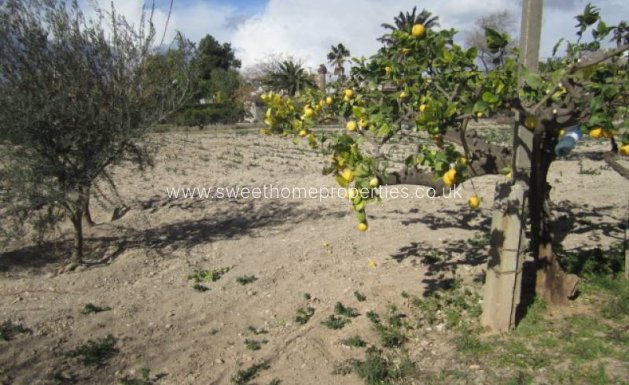 Resale - Country house - Novelda - LEDUA PARK