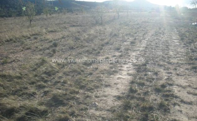 Resale - Plot - Hondon De Las Nieves - La solana