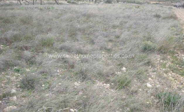 Resale - Plot - Hondon De Las Nieves - La solana