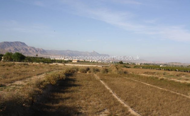 Resale - Plot - Aspe