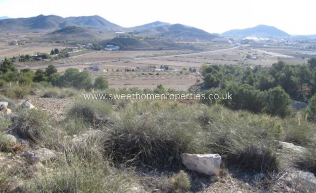 Resale - Plot - Hondon De Las Nieves - Hondon de las Nieves - Campo