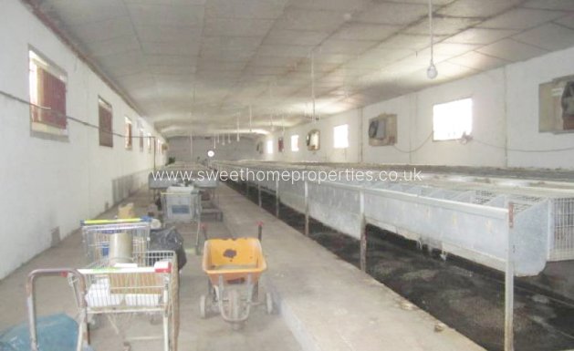 Resale - Villa - La Romana - LA ALCANA