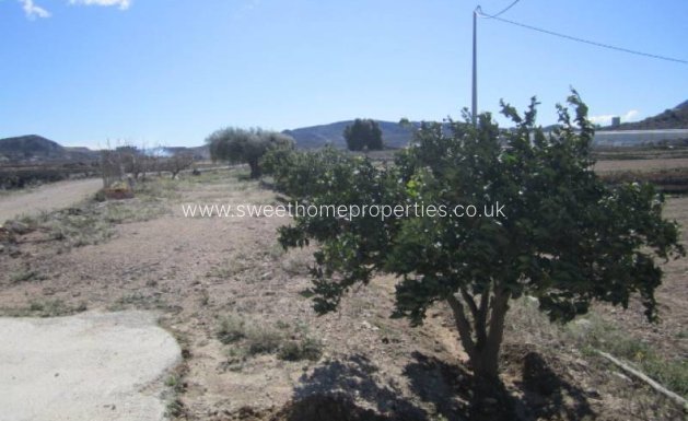 Resale - Country house - Aspe