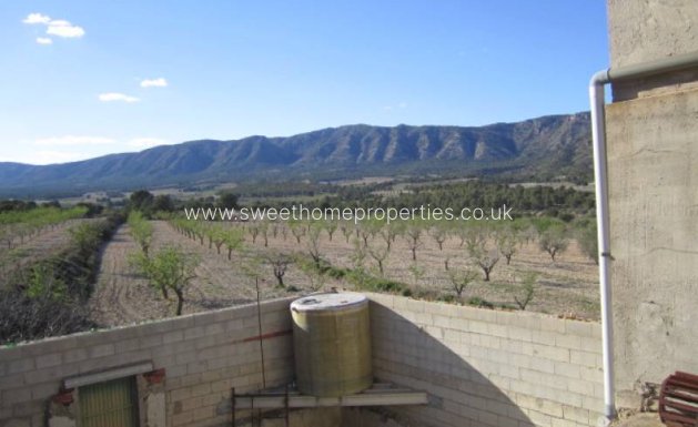 Resale - Country house - Salinas