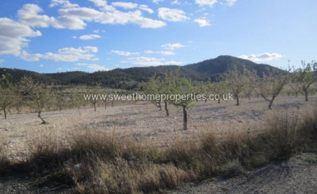 Resale - Country house - Salinas