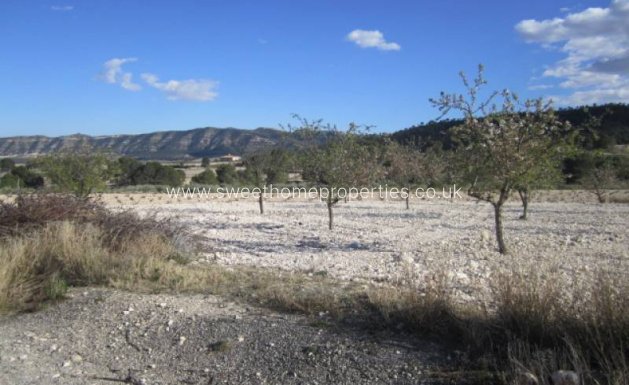 Resale - Country house - Salinas