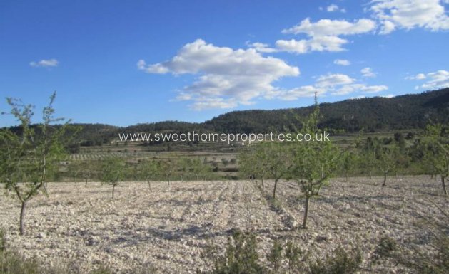 Resale - Country house - Salinas