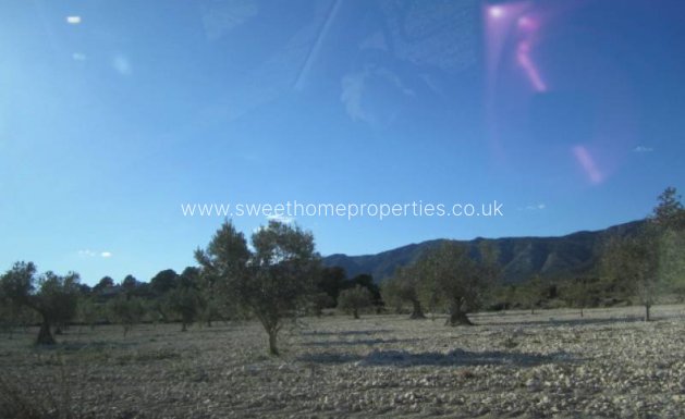 Resale - Country house - Salinas
