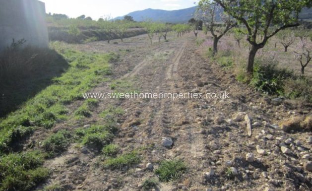 Resale - Country house - Salinas