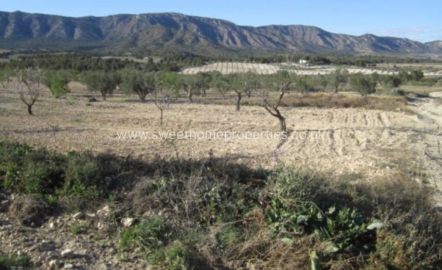 Resale - Country house - Salinas