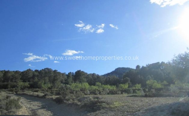 Resale - Country house - Salinas