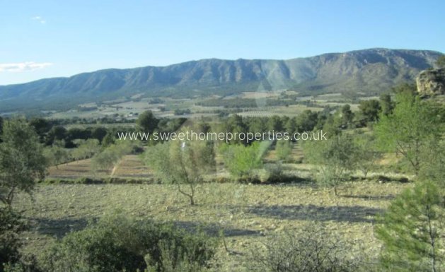 Resale - Country house - Salinas