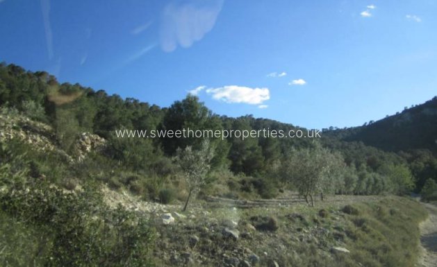Resale - Country house - Salinas
