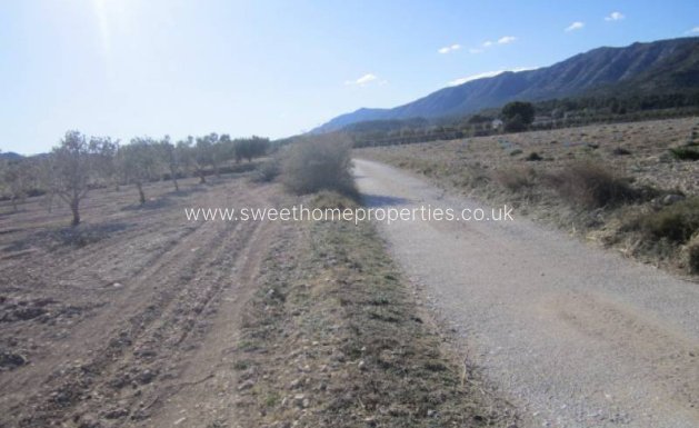 Resale - Country house - Salinas