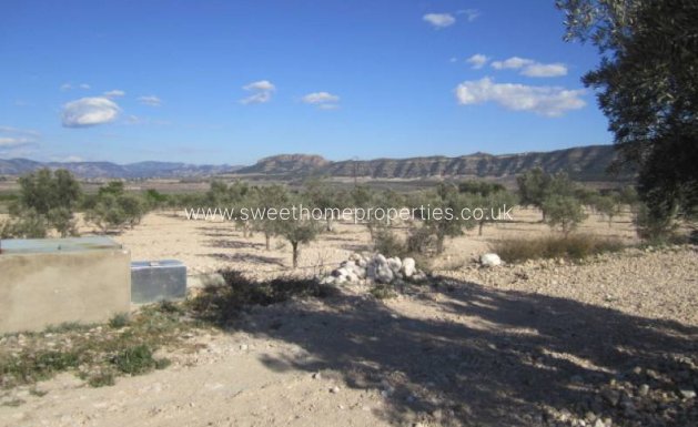 Resale - Country house - Salinas