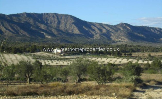 Resale - Country house - Salinas