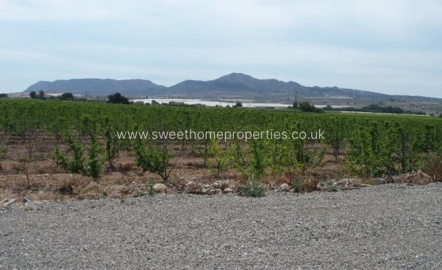 Resale - Country house - Monforte del Cid - GABARRERA