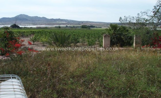 Resale - Country house - Monforte del Cid - GABARRERA