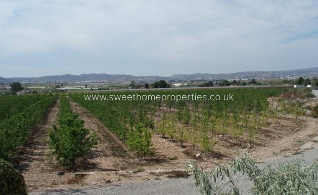 Resale - Country house - Monforte del Cid - GABARRERA