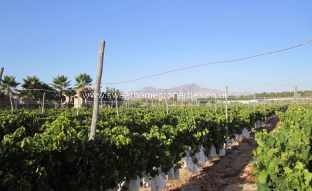 Resale - Plot - Novelda - CASAS DE SALA