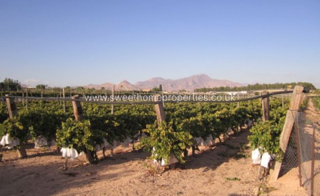 Resale - Plot - Novelda - CASAS DE SALA