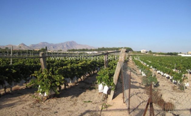 Resale - Plot - Novelda - CASAS DE SALA