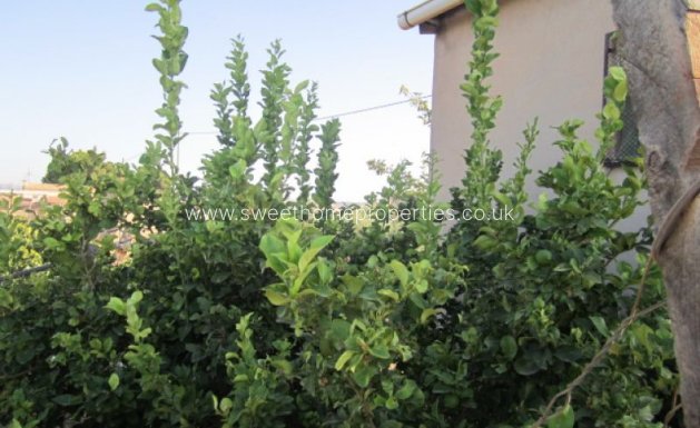 Resale - Plot - Novelda - CASAS DE SALA