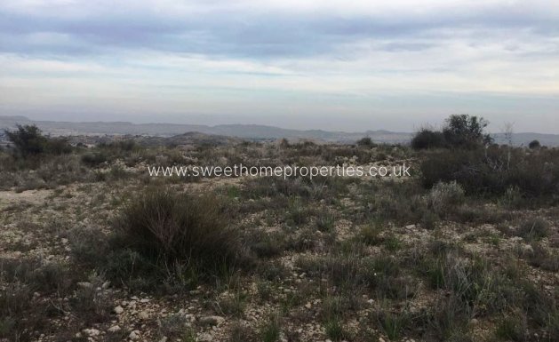 Resale - Plot - Novelda - BETIES