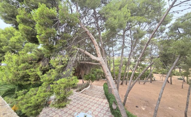 Herverkoop - Villa - Aspe pedanias - El rabosero