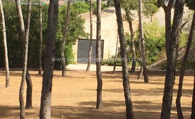 Herverkoop - Villa - Aspe pedanias - El rabosero