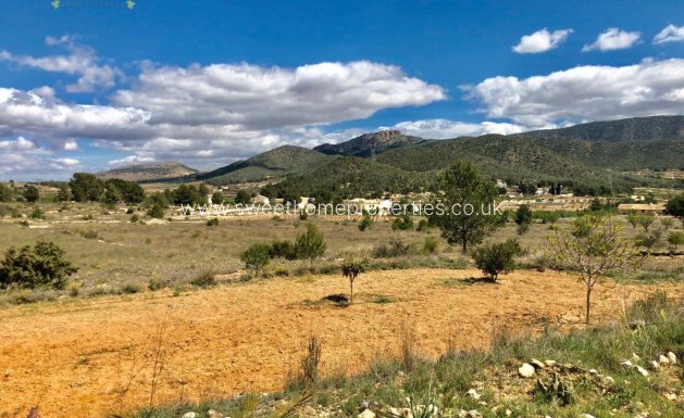 Resale - Plot - Monovar - LA ROMANETA