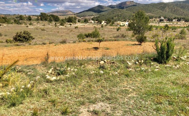 Resale - Plot - Monovar - LA ROMANETA