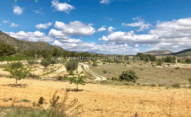 Resale - Plot - Monovar - LA ROMANETA