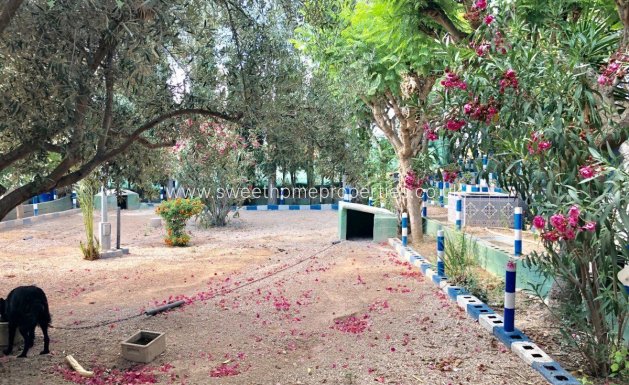 Herverkoop - Villa - Crevillent - BARRANCO SAN CAYETANO