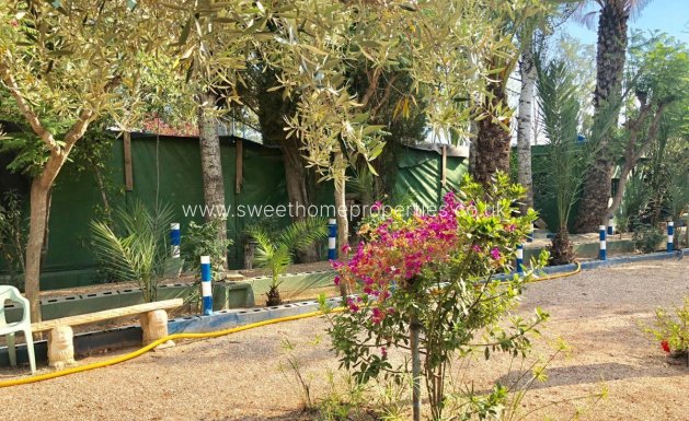 Herverkoop - Villa - Crevillent - BARRANCO SAN CAYETANO