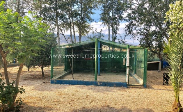 Herverkoop - Villa - Crevillent - BARRANCO SAN CAYETANO