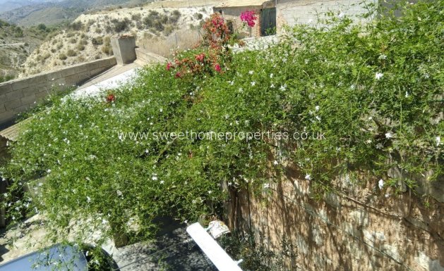 Resale - Town house - Macisvenda - mascivenda