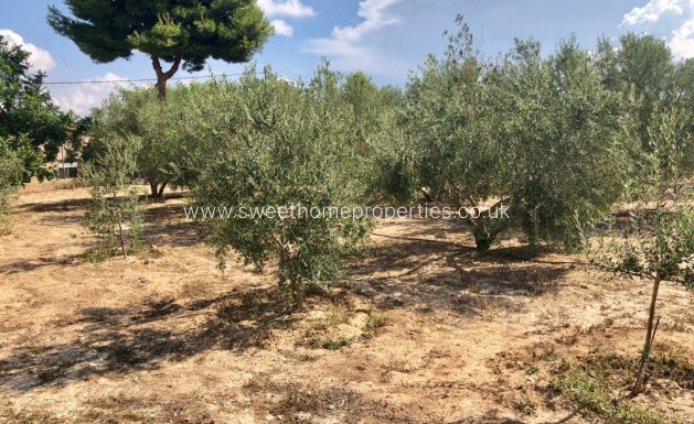 Herverkoop - Villa - Aspe pedanias - Tolomo Alto