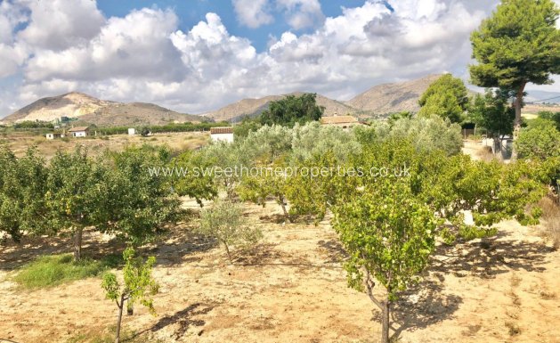 Herverkoop - Villa - Aspe pedanias - Tolomo Alto