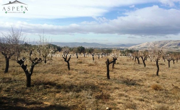 Resale - Plot - Biar