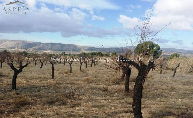 Resale - Plot - Biar