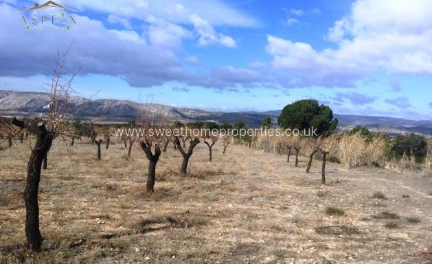 Resale - Plot - Biar