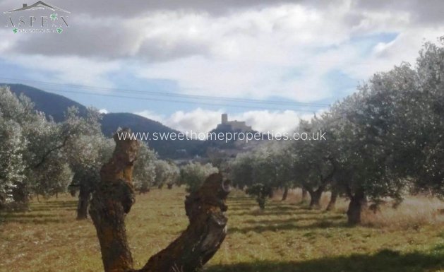 Resale - Plot - Biar