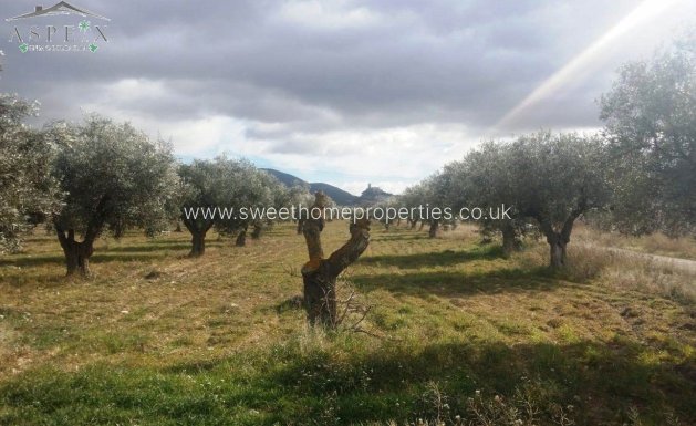 Resale - Plot - Biar