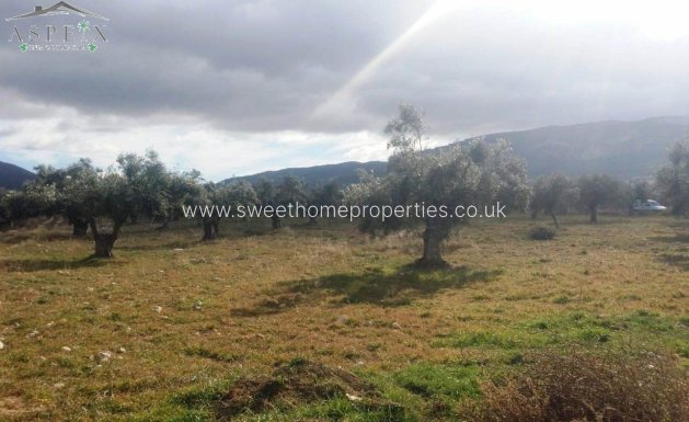 Resale - Plot - Biar