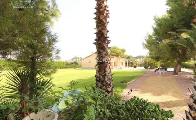 Resale - Country house - Mutxamel