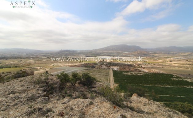 Resale - Plot - Monforte del Cid - Orito