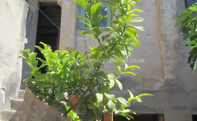 Resale - Country house - Novelda - Comunidad valenciana