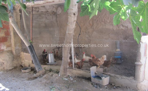 Resale - Country house - Novelda - Comunidad valenciana